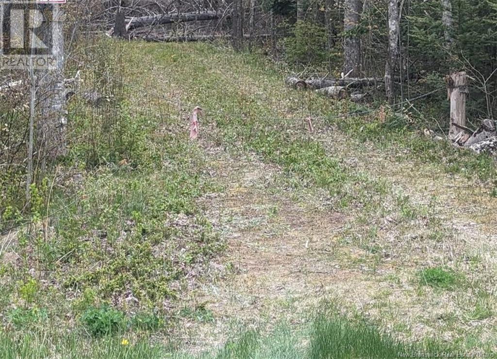Lot Upper Cape Road, Botsford, New Brunswick E4M 2W7 - Photo 4 - NB112350