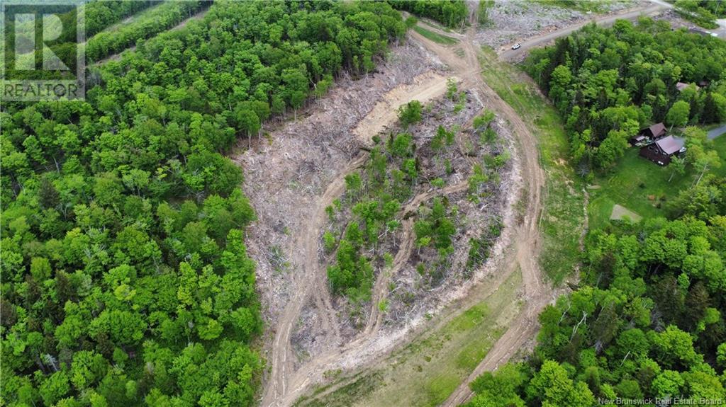 Lot 24-01 Lot 24-01, Central Hainesville, New Brunswick  E6E 1E3 - Photo 1 - NB112304