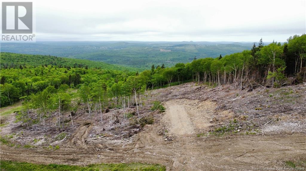 Lot 24-01 Lot 24-01, Central Hainesville, New Brunswick  E6E 1E3 - Photo 3 - NB112304