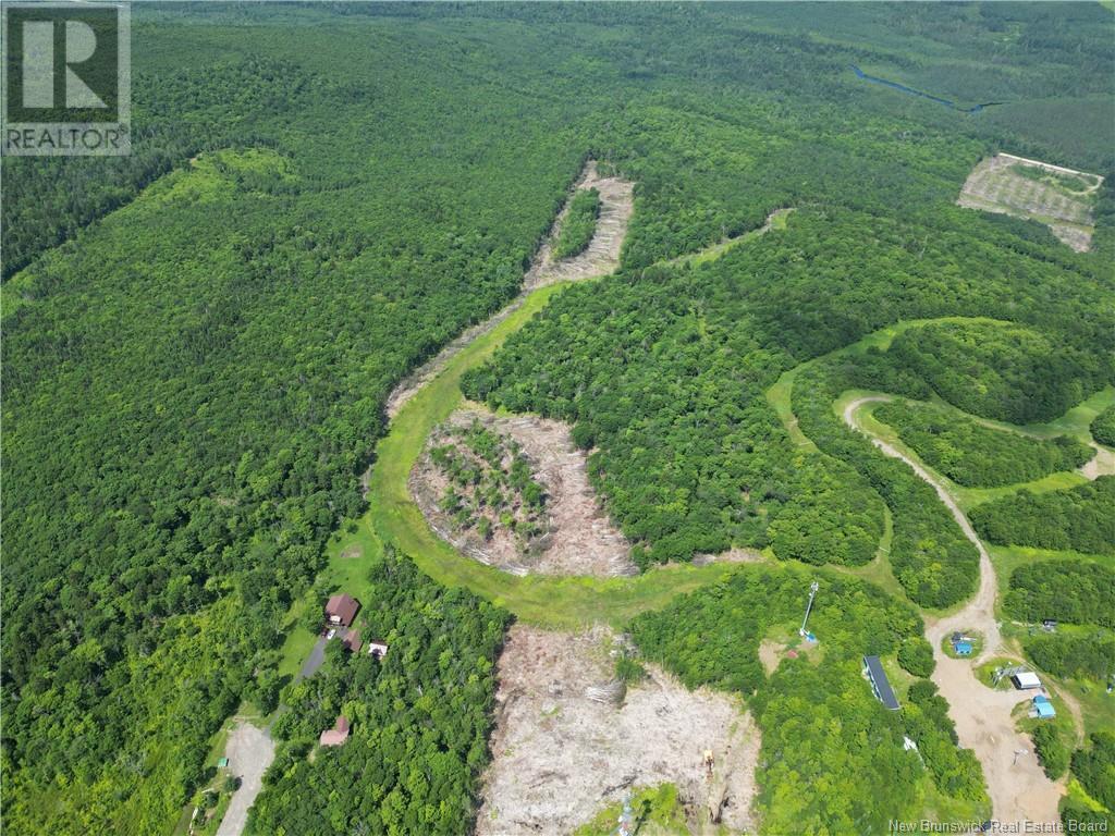 Lot 24-01 Lot 24-01, Central Hainesville, New Brunswick  E6E 1E3 - Photo 8 - NB112304