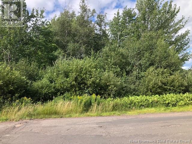 740 Des Dallaires, Sainte-Marie-De-Kent, New Brunswick  E4S 1S8 - Photo 2 - NB112394