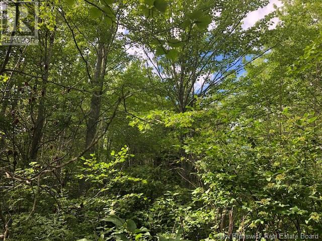 740 Des Dallaires, Sainte-Marie-De-Kent, New Brunswick  E4S 1S8 - Photo 6 - NB112394