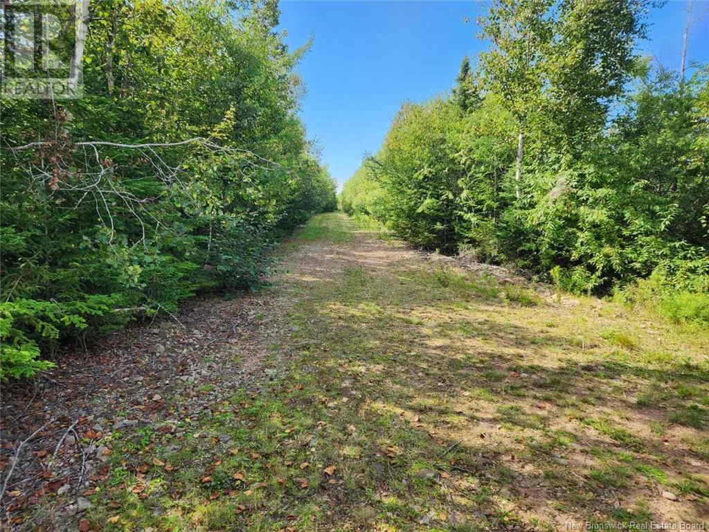2 Chignecto Lane, Wood Point, New Brunswick  E4L 0A9 - Photo 1 - NB112454