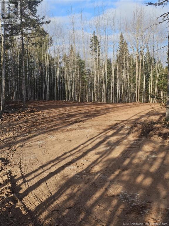 Lot 04-17 Sunset View Lane, Cumberland Bay, New Brunswick E4A 0A2 - Photo 2 - NB112517