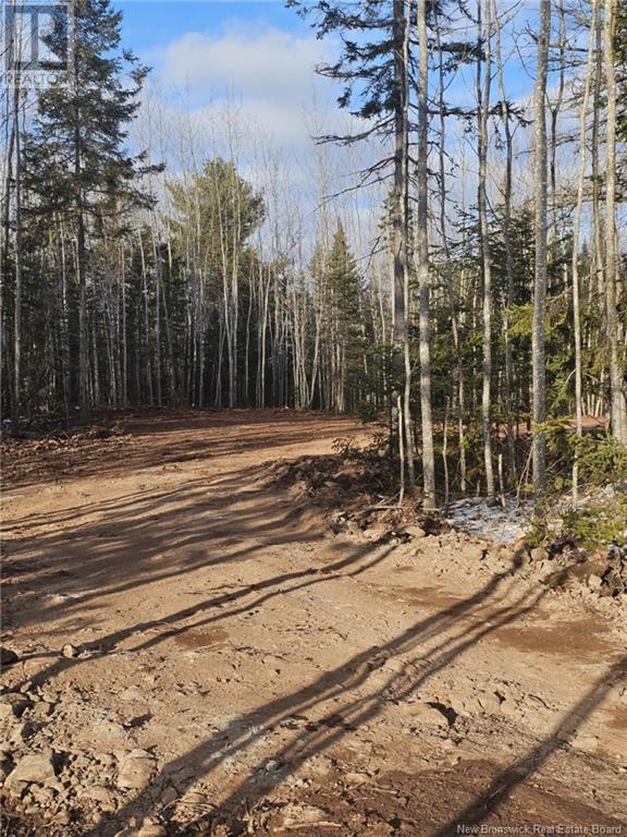 Lot 04-17 Sunset View Lane, Cumberland Bay, New Brunswick E4A 0A2 - Photo 3 - NB112517