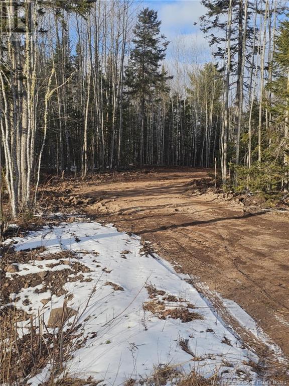 Lot 04-17 Sunset View Lane, Cumberland Bay, New Brunswick E4A 0A2 - Photo 4 - NB112517