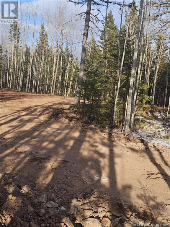 Lot 04-17 Sunset View Lane, Cumberland Bay, New Brunswick E4A 0A2 - Photo 5 - NB112517