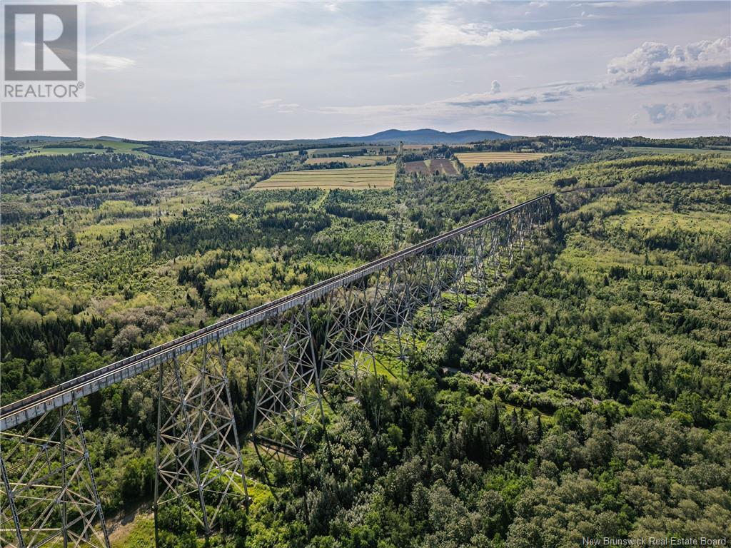 46 Davis Old Mill Road, Dsl De Drummond/dsl Of Drummond, New Brunswick  E3Y 1R1 - Photo 7 - NB112758