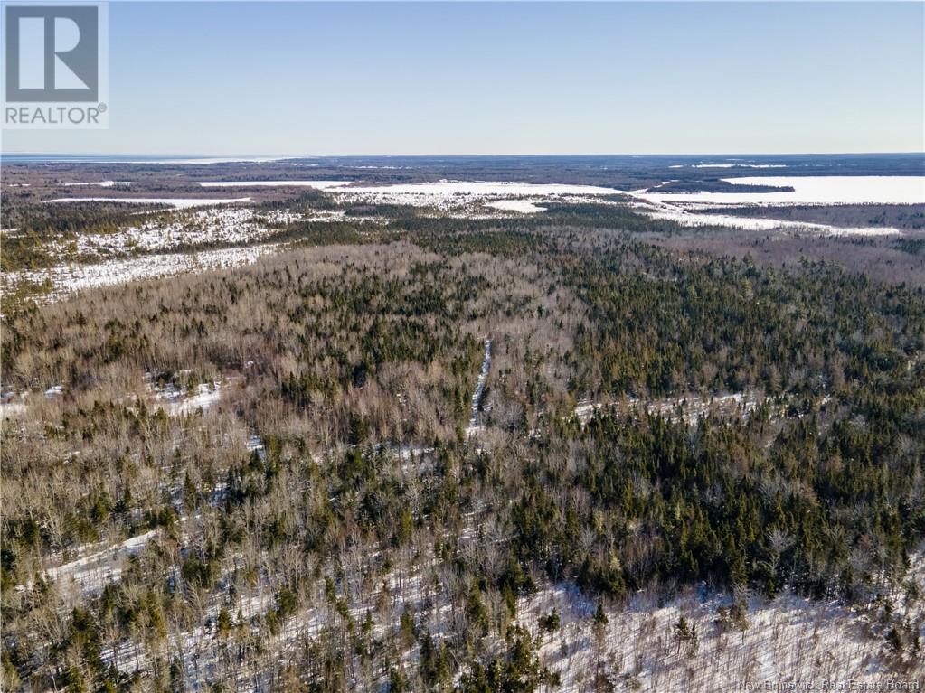 Lot Sainte-Anne Road, Grand-Barachois, New Brunswick  E4P 2R4 - Photo 13 - NB112795