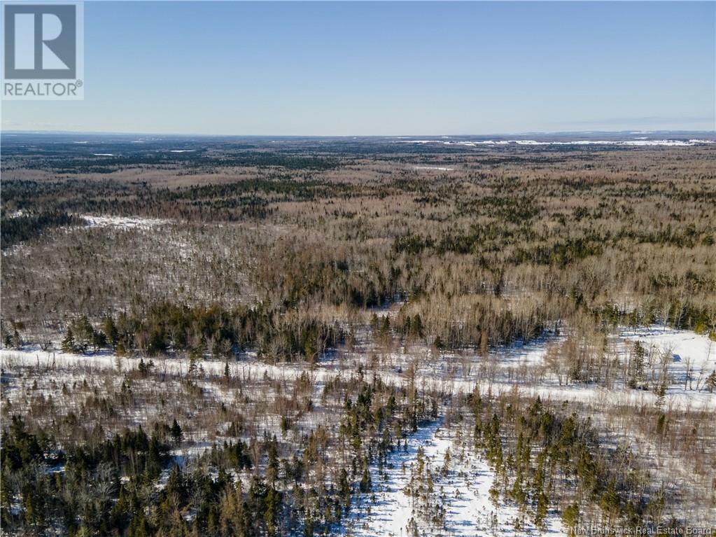 Lot Sainte-Anne Road, Grand-Barachois, New Brunswick  E4P 2R4 - Photo 15 - NB112795