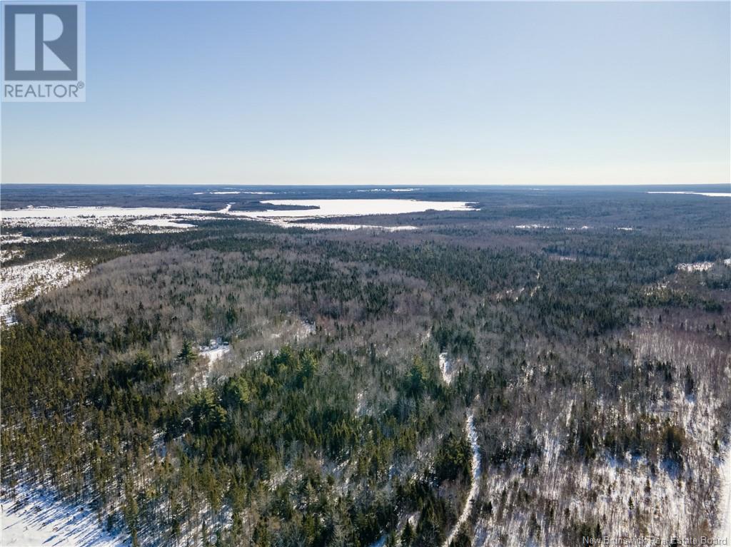 Lot Sainte-Anne Road, Grand-Barachois, New Brunswick  E4P 2R4 - Photo 19 - NB112795