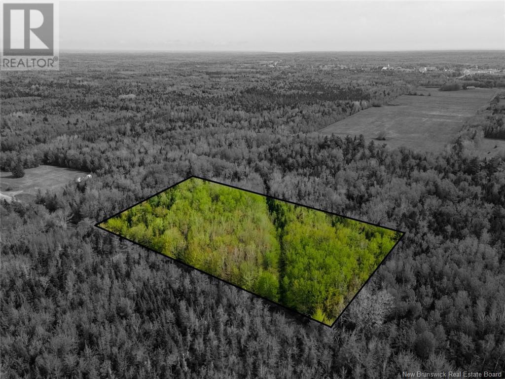Lot 21-06 Haut Saint-Antoine Road, Saint-Antoine, New Brunswick  E4V 3B3 - Photo 4 - NB112792