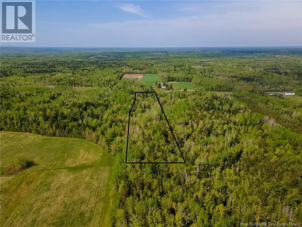Lot 21-05 Haut St Antoine Road, Haut-Saint-Antoine, New Brunswick  E4V 3B3 - Photo 18 - NB112791
