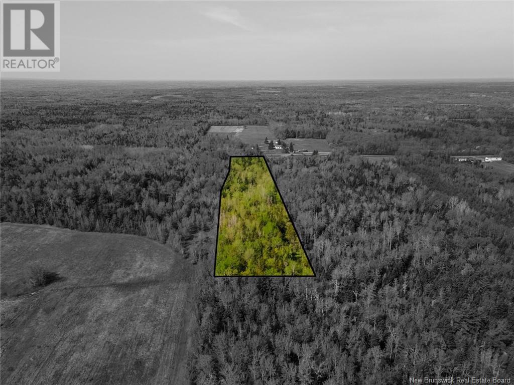 Lot 21-05 Haut St Antoine Road, Haut-Saint-Antoine, New Brunswick  E4V 3B3 - Photo 19 - NB112791