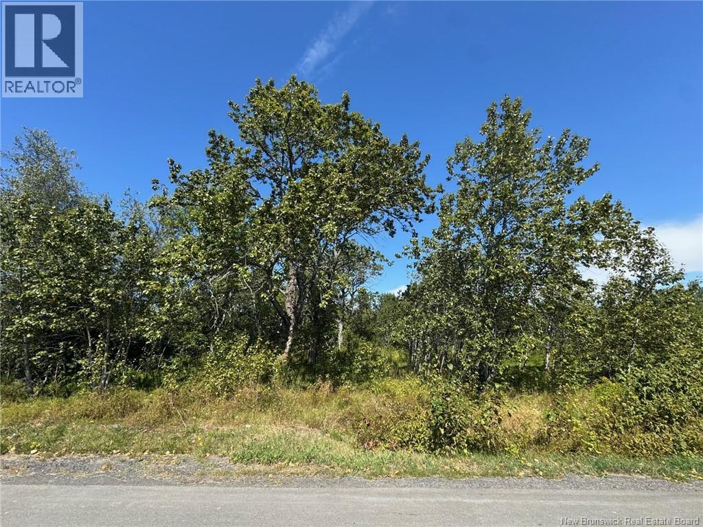 448 280 Route, Dundee, New Brunswick  E8E 1Y9 - Photo 2 - NB112948