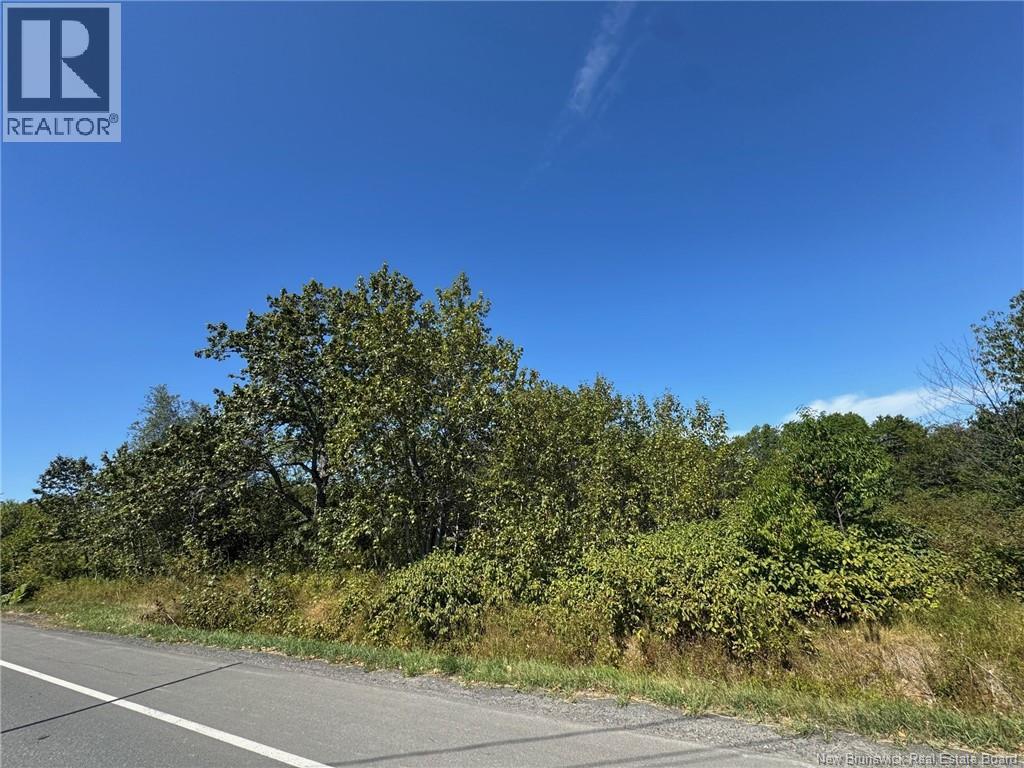 448 280 Route, Dundee, New Brunswick  E8E 1Y9 - Photo 3 - NB112948