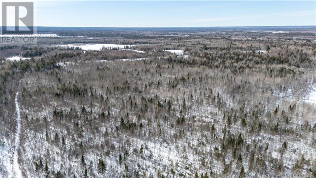 Lot Route 126, Adamsville, New Brunswick  E4T 2C8 - Photo 5 - NB112922