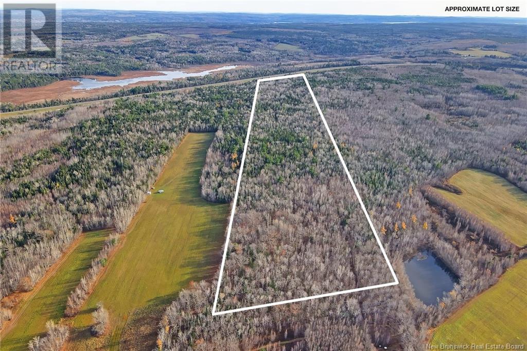 Lot Grand Lake Drive, Whites Cove, New Brunswick  O0O 0O0 - Photo 11 - NB113221