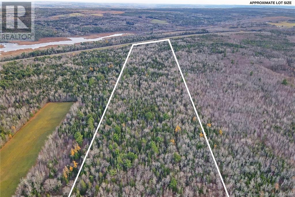 Lot Grand Lake Drive, Whites Cove, New Brunswick  O0O 0O0 - Photo 7 - NB113221