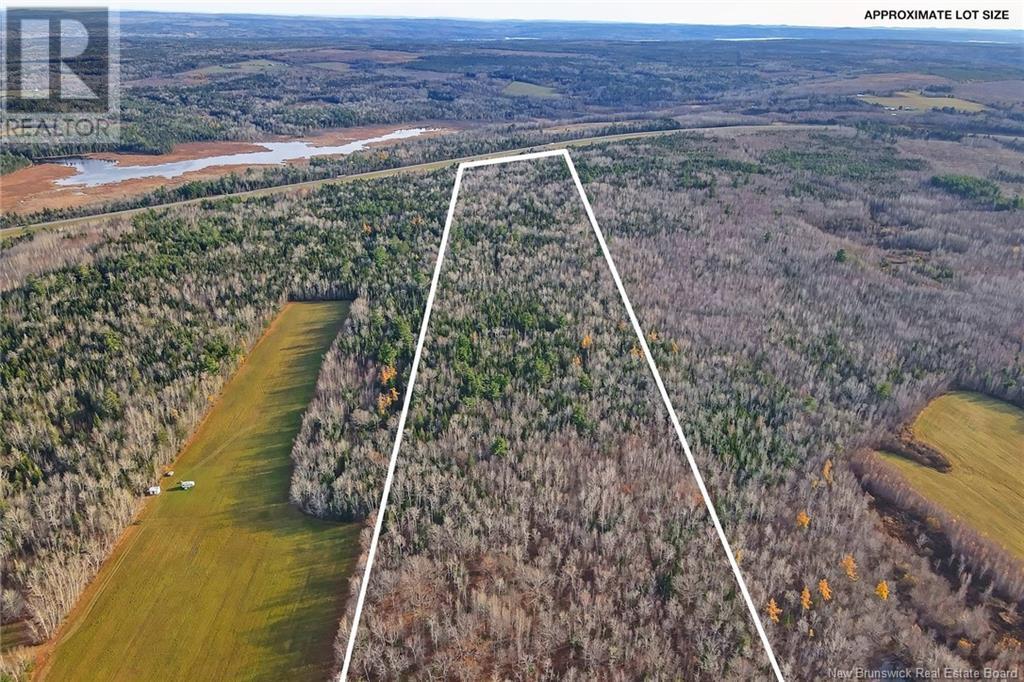 Lot Grand Lake Drive, Whites Cove, New Brunswick  O0O 0O0 - Photo 9 - NB113221