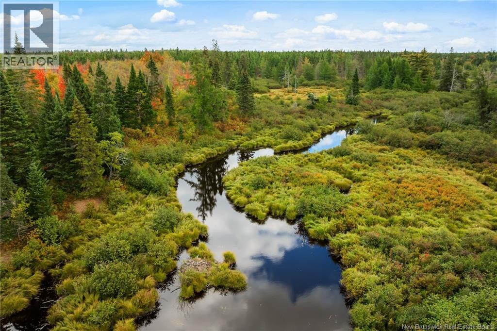 Lot 24-6 Cumberland Bay South Road, Cumberland Bay, New Brunswick O0O 0O0 - Photo 15 - NB113273