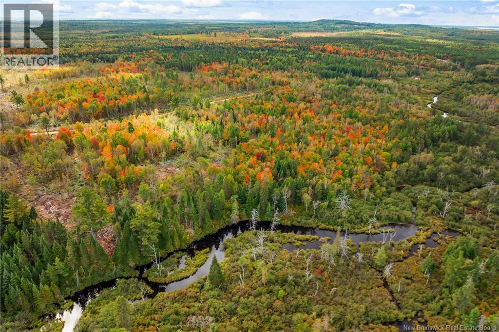 Lot 24-6 Cumberland Bay South Road, Cumberland Bay, New Brunswick O0O 0O0 - Photo 7 - NB113273