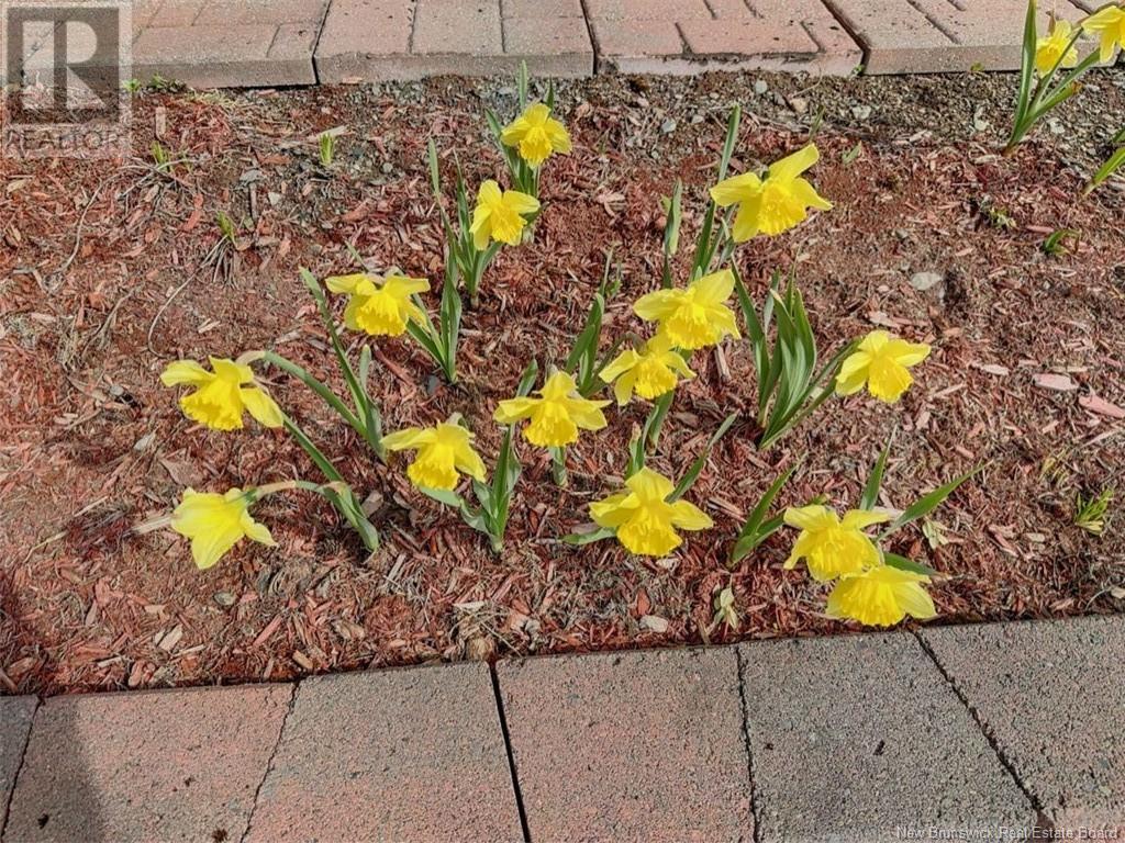 404 De L'Église Road, Lac Baker, New Brunswick E7A 1L4 - Photo 15 - NB113476