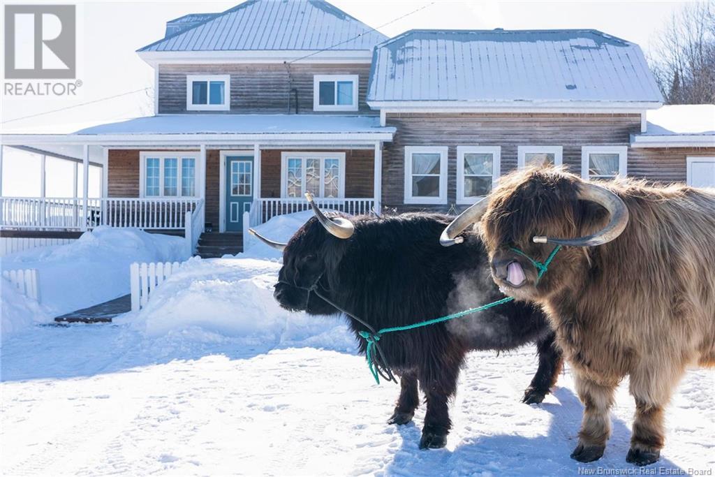 9510 Route 107, Fielding, New Brunswick E7L 2K6 - Photo 10 - NB113567