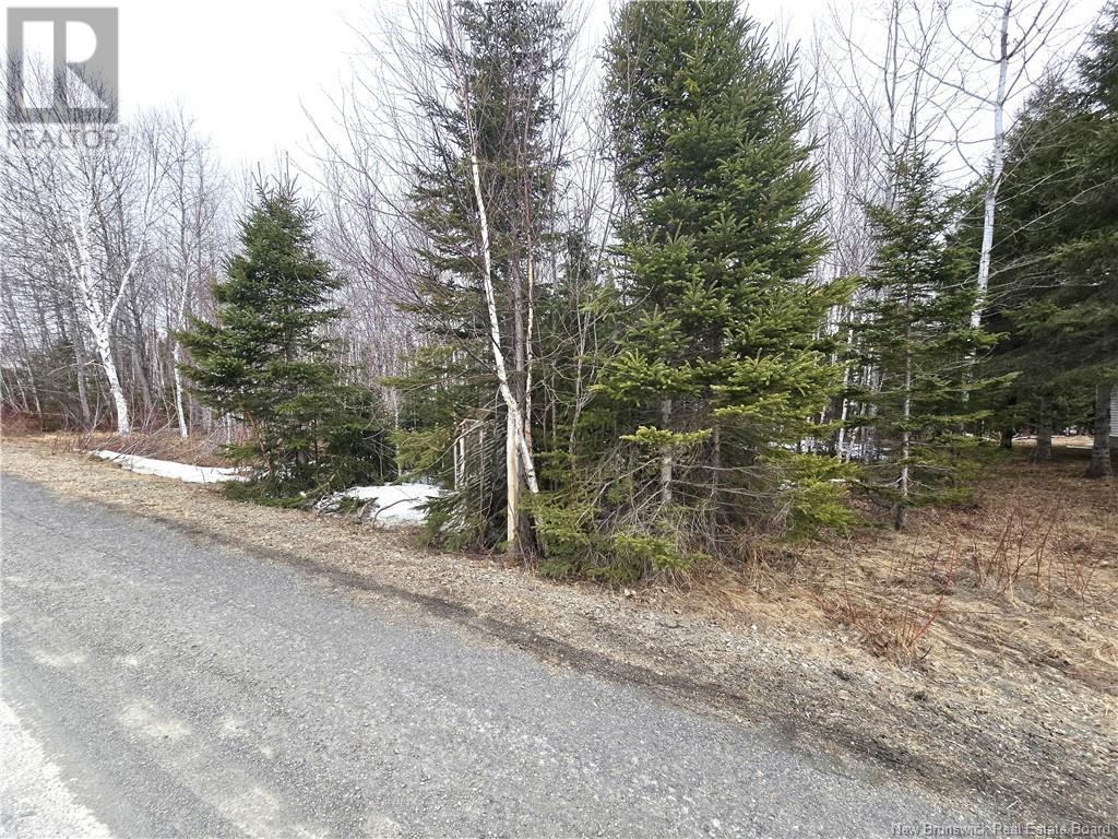 4e Avenue, Clair, New Brunswick  E7A 2B2 - Photo 12 - NB113604