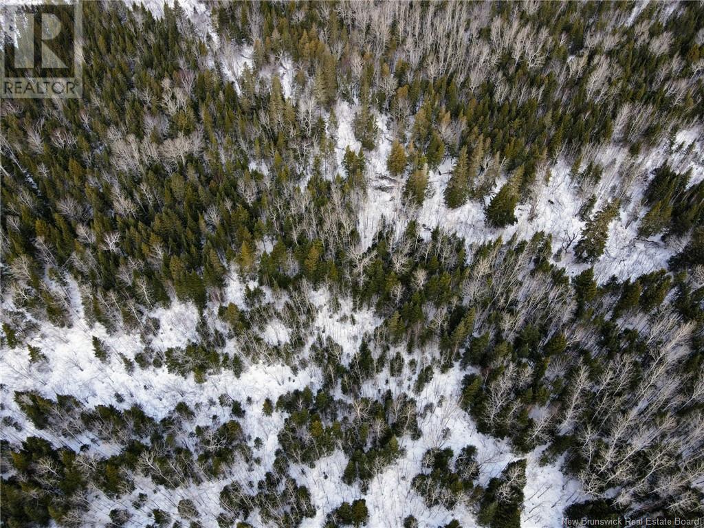 4657 Route 480, Acadieville, New Brunswick E4Y 2C3 - Photo 12 - NB113835