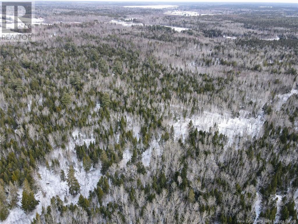 4657 Route 480, Acadieville, New Brunswick E4Y 2C3 - Photo 13 - NB113835