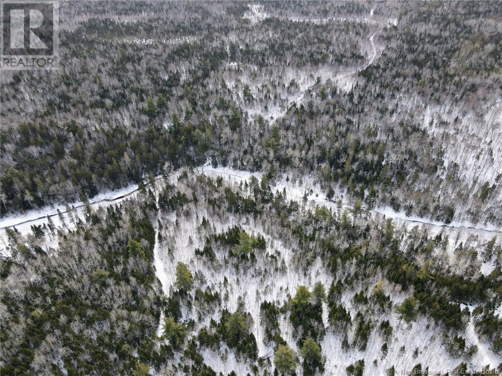 4657 Route 480, Acadieville, New Brunswick E4Y 2C3 - Photo 6 - NB113835