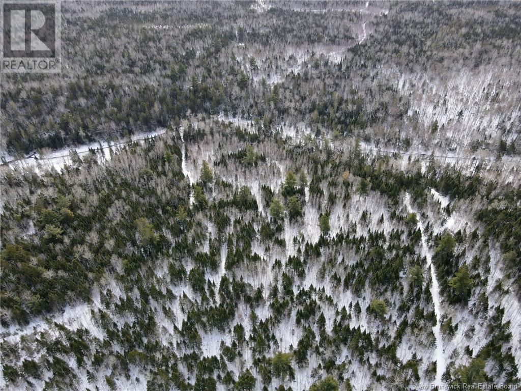4657 Route 480, Acadieville, New Brunswick E4Y 2C3 - Photo 7 - NB113835