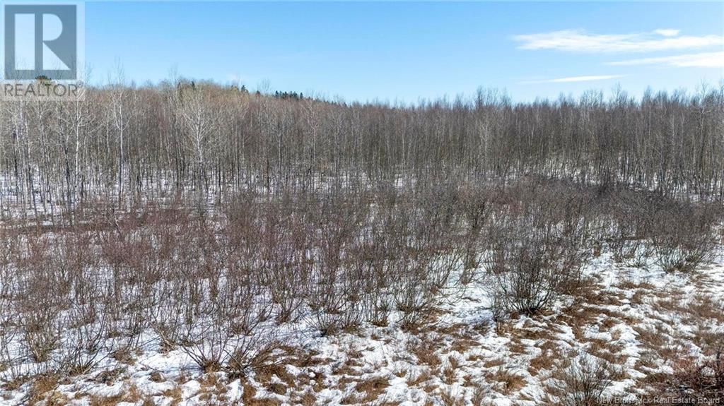 Lot Northwood And Old Barn Road, Moncton, New Brunswick M2M 2J9 - Photo 13 - NB113973