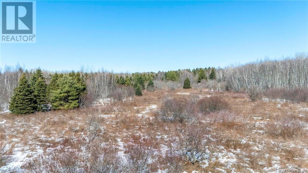 Lot Northwood And Old Barn Road, Moncton, New Brunswick M2M 2J9 - Photo 22 - NB113973