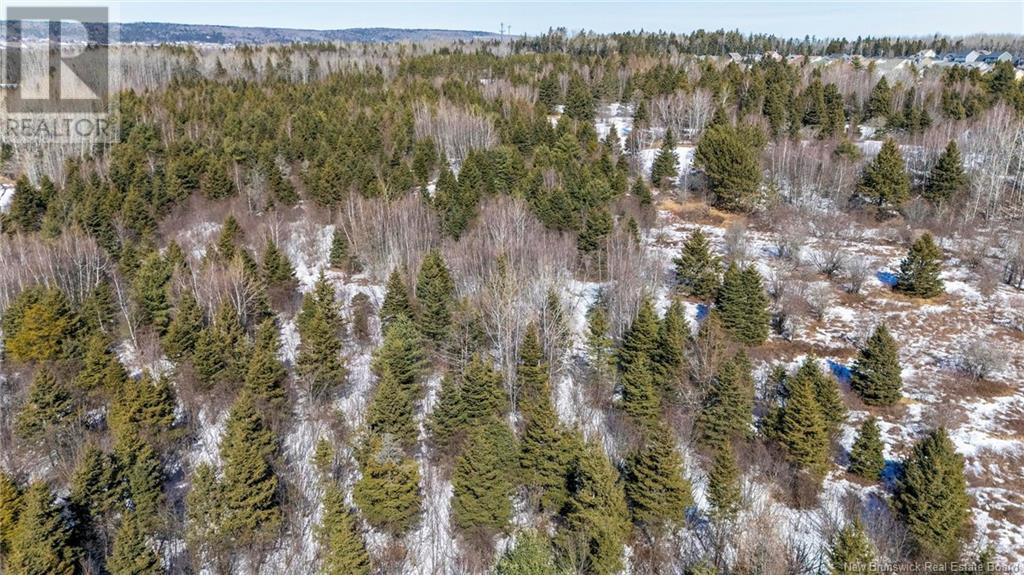 Lot Northwood And Old Barn Road, Moncton, New Brunswick M2M 2J9 - Photo 24 - NB113973
