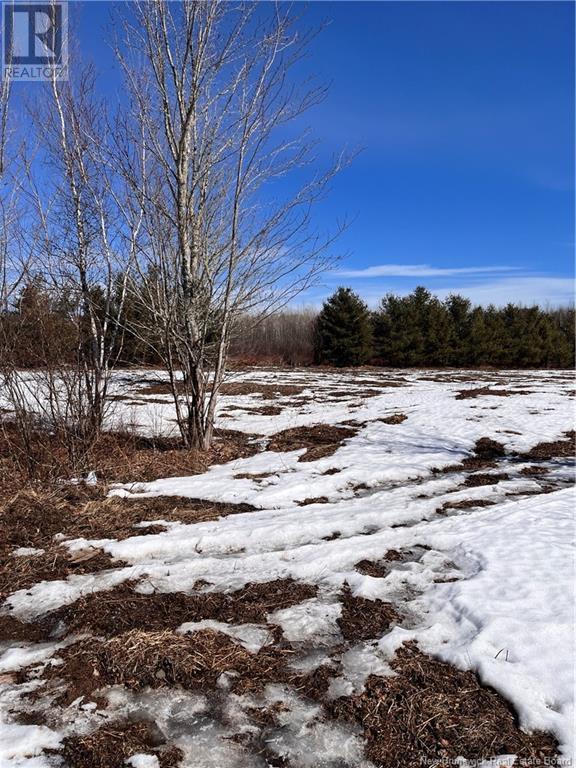 Lot Northwood And Old Barn Road, Moncton, New Brunswick M2M 2J9 - Photo 32 - NB113973