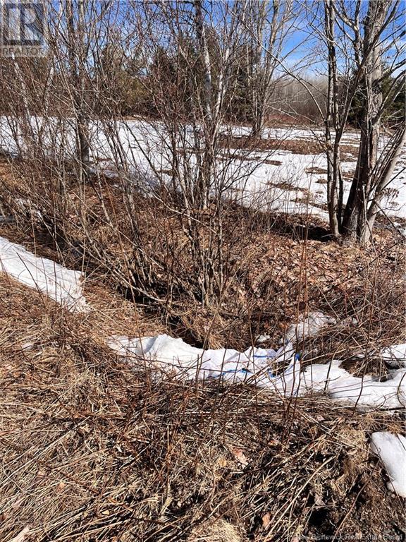 Lot Northwood And Old Barn Road, Moncton, New Brunswick M2M 2J9 - Photo 34 - NB113973