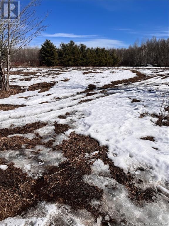 Lot Northwood And Old Barn Road, Moncton, New Brunswick M2M 2J9 - Photo 37 - NB113973