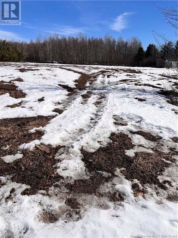 Lot Northwood And Old Barn Road, Moncton, New Brunswick M2M 2J9 - Photo 42 - NB113973