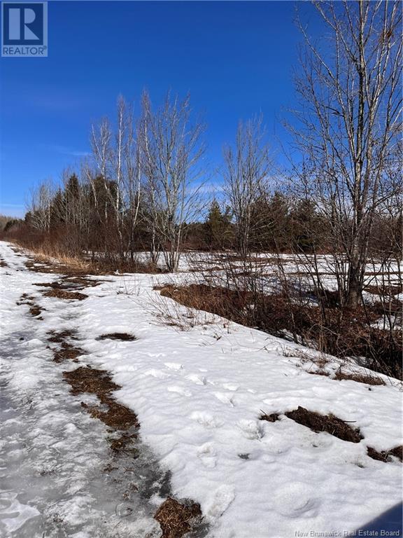 Lot Northwood And Old Barn Road, Moncton, New Brunswick M2M 2J9 - Photo 43 - NB113973