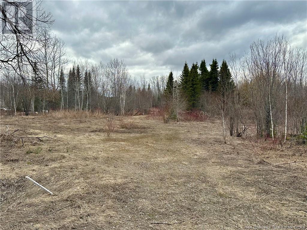 1253 Route 395, Blue Bell, New Brunswick  E7G 4B3 - Photo 3 - NB113447