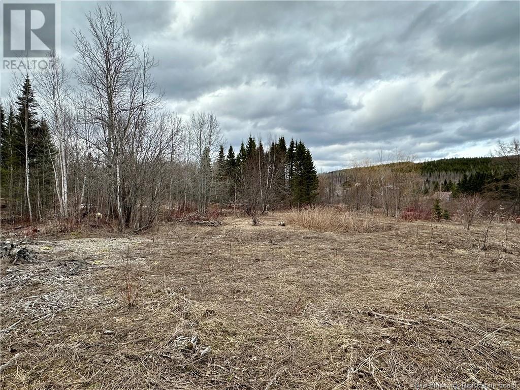 1253 Route 395, Blue Bell, New Brunswick  E7G 4B3 - Photo 6 - NB113447