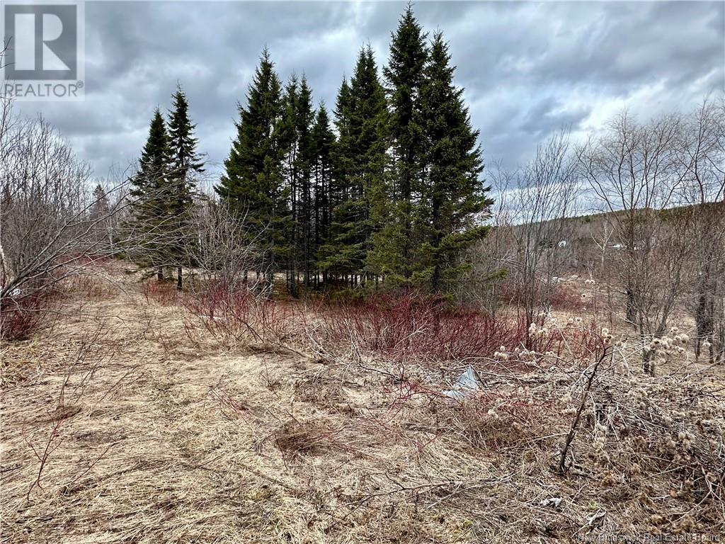 1253 Route 395, Blue Bell, New Brunswick  E7G 4B3 - Photo 8 - NB113447