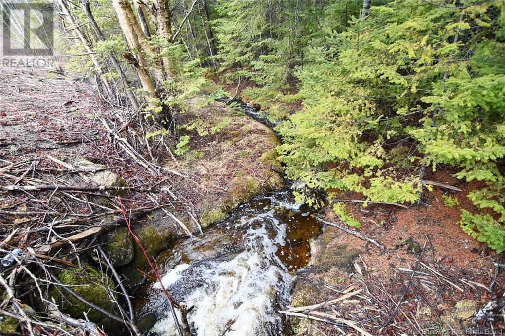 Lot 86-49a Bunker Hill, Wilsons Beach, New Brunswick  E5E 1Z3 - Photo 4 - NB114256