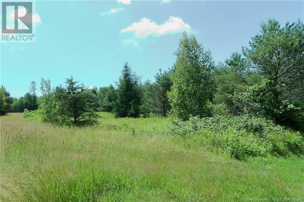 Lot 95 Main Street, Chipman, New Brunswick O0O 0O0 - Photo 2 - NB114467