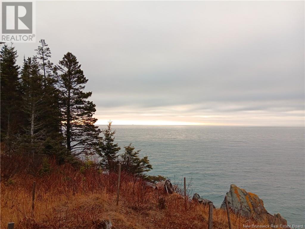 Shore Frt Lot 86-64 Fundy Drive, Campobello, New Brunswick  E5E 1X2 - Photo 1 - NB114563