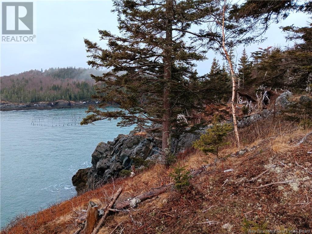 Shore Frt Lot 86-64 Fundy Drive, Campobello, New Brunswick  E5E 1X2 - Photo 2 - NB114563