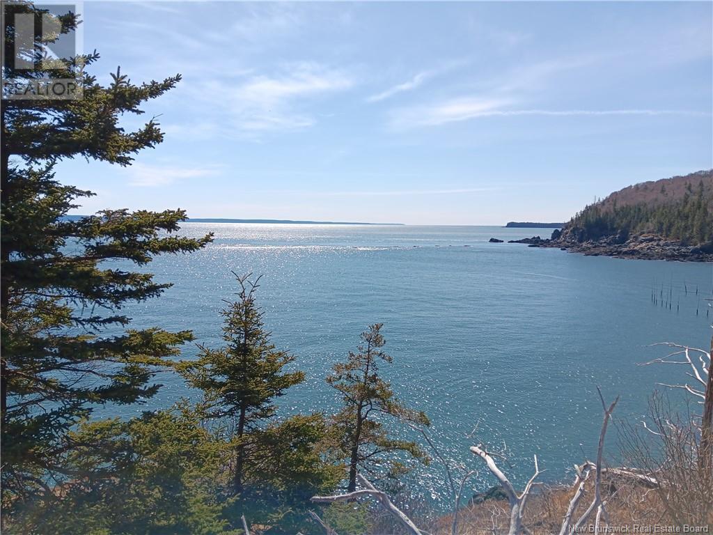 Shore Frt Lot 86-64 Fundy Drive, Campobello, New Brunswick  E5E 1X2 - Photo 3 - NB114563