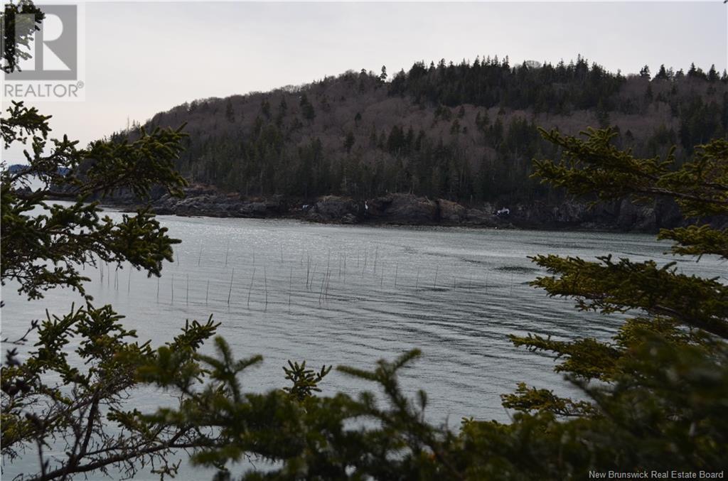 Shore Frt Lot 86-64 Fundy Drive, Campobello, New Brunswick  E5E 1X2 - Photo 7 - NB114563